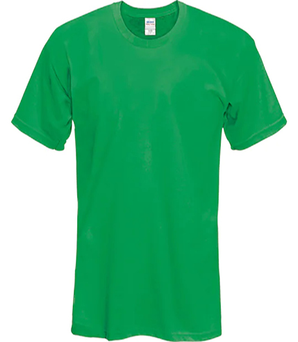 Green T-Shirt - L & XL on Backorder